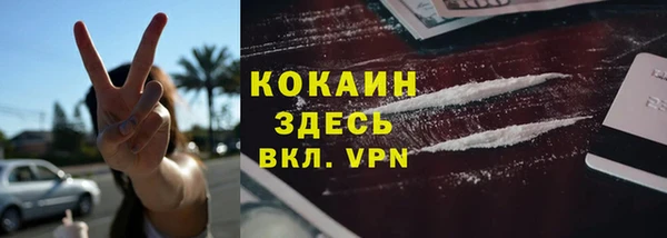 амф Липки