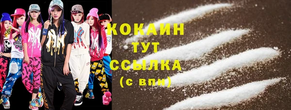 амф Липки