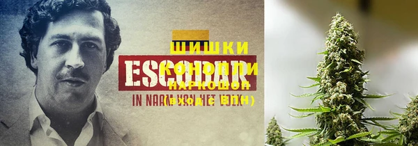 амф Липки